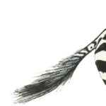„Und mehr ist nicht weniger!“, wieherte das Zebra.