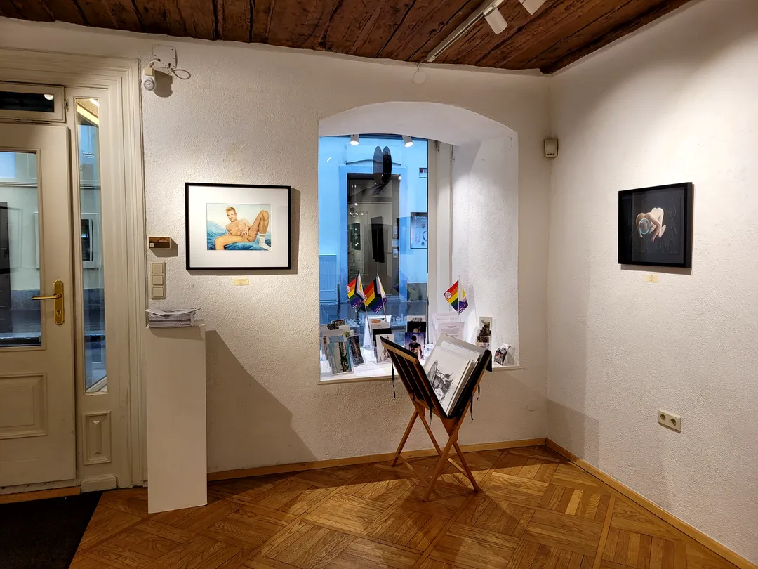 Ansicht der Ausstellung ‚I just want to be a good Boy!‘ von Lars van Roosendaal, gehängte Werke in der Galerie Himmelpfortgasse Wien